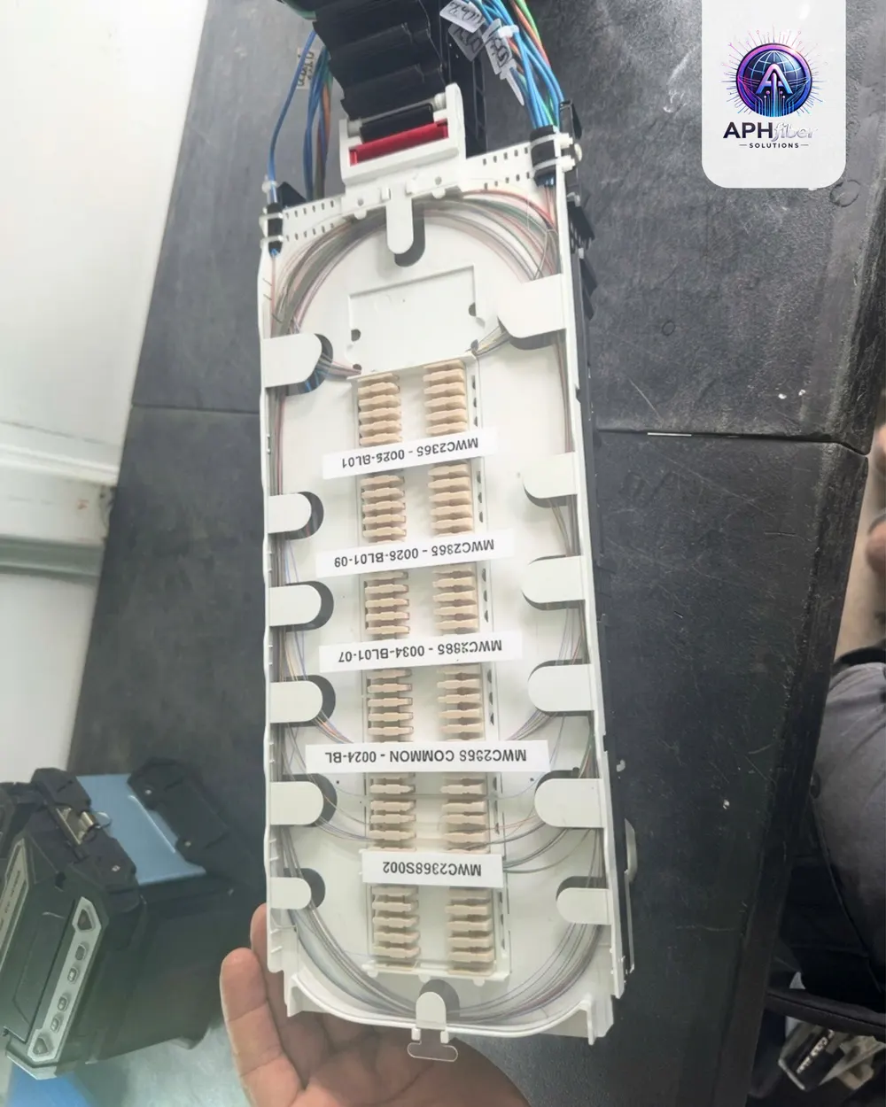 Labeled splice tray with neatly organized fibers